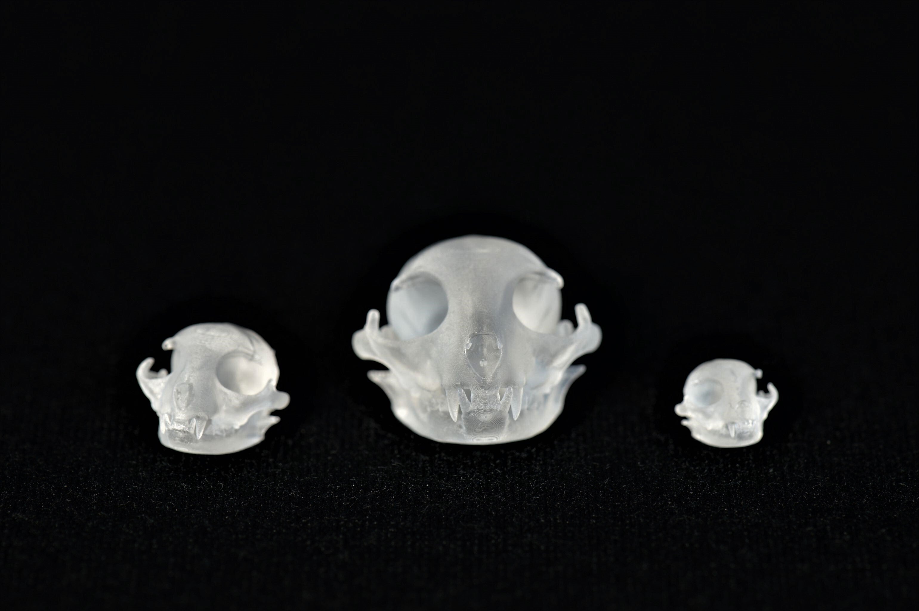 3D printed cat skull dice inclusions on black background