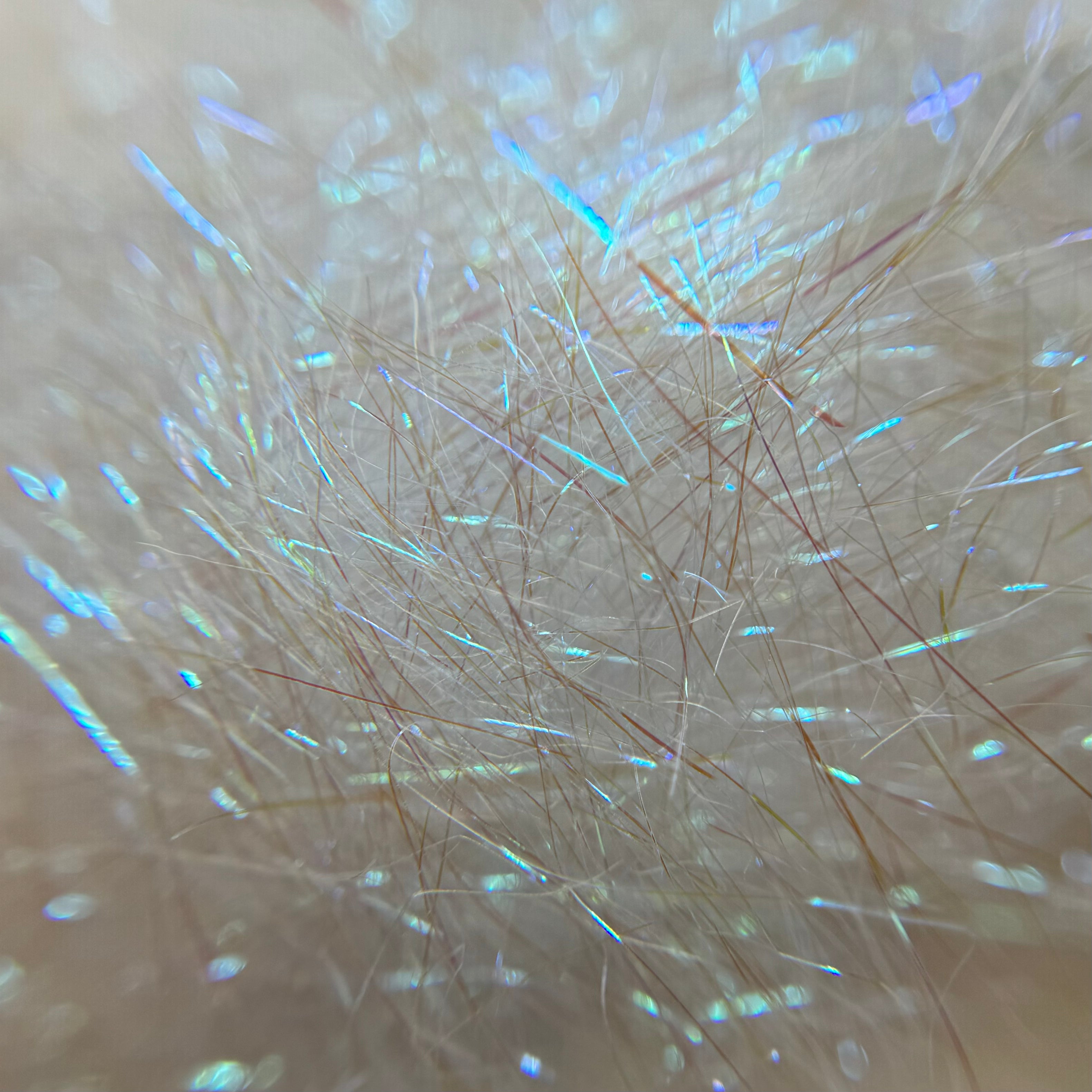 blue magic angelina fiber for dice