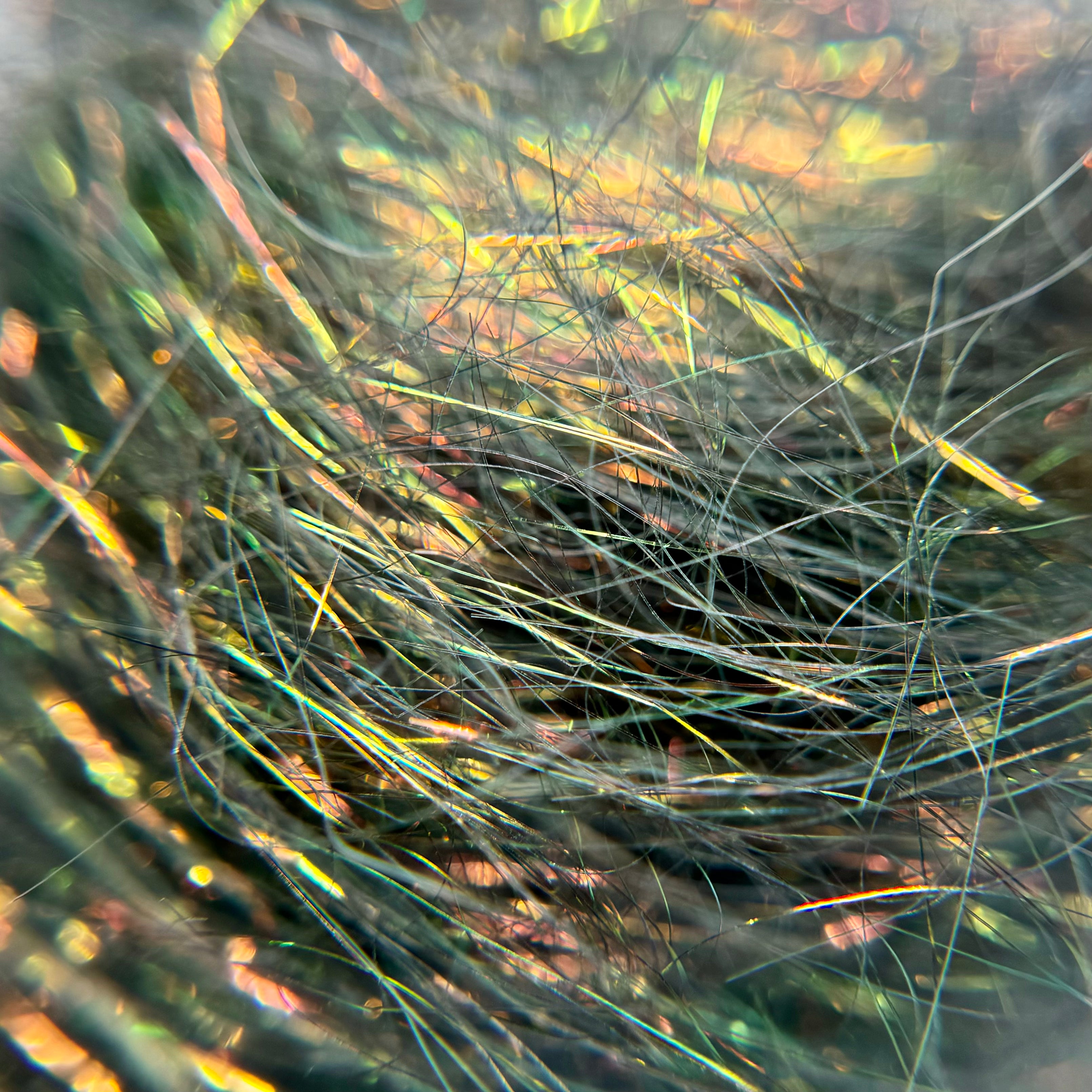 forest blaze angelina fiber for dice