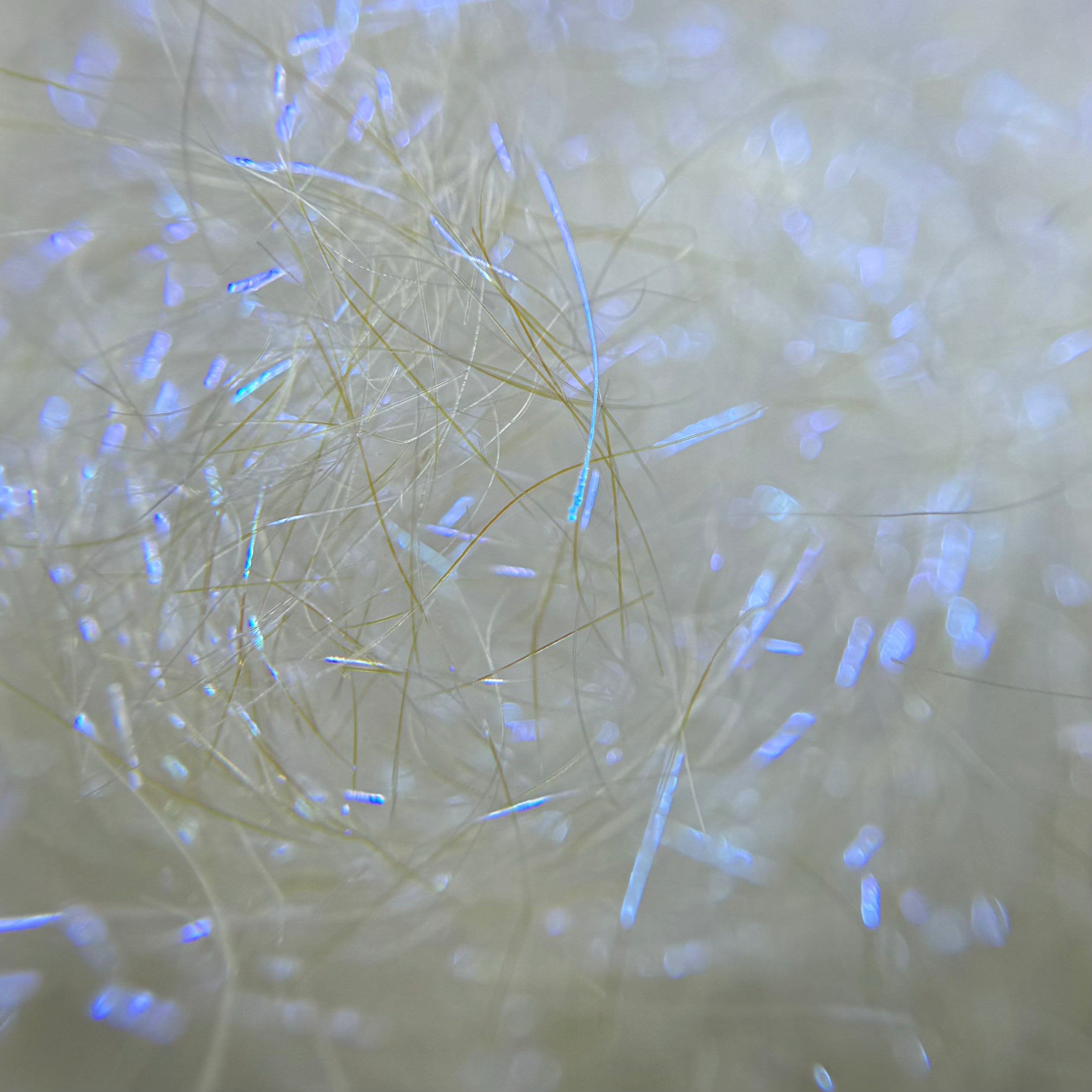 violette angelina fiber for dice